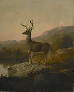 Deer unknow artist